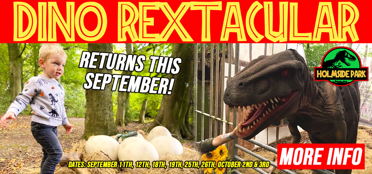 Holmside Park Durham Activity Centre Family Fun Adventure Park