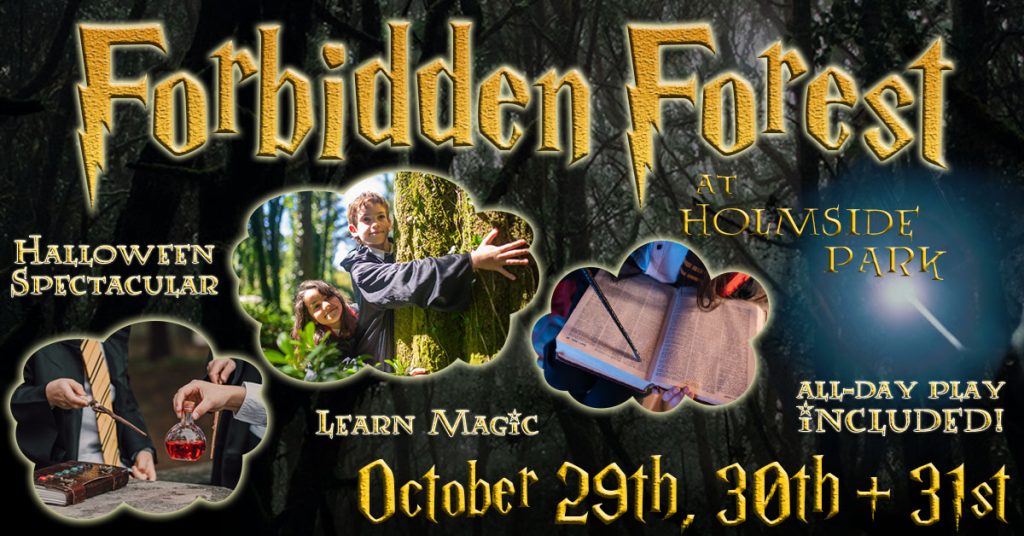 Holmside Park Durham Activity Centre Family Fun Adventure Park